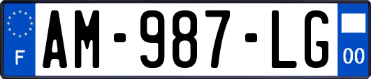 AM-987-LG