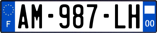 AM-987-LH