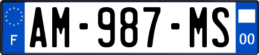 AM-987-MS
