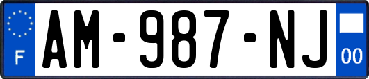 AM-987-NJ