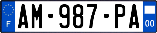AM-987-PA