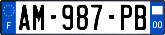 AM-987-PB