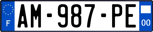 AM-987-PE