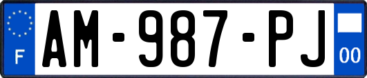 AM-987-PJ
