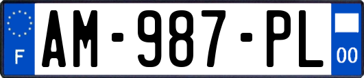 AM-987-PL