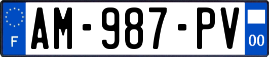 AM-987-PV