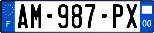 AM-987-PX