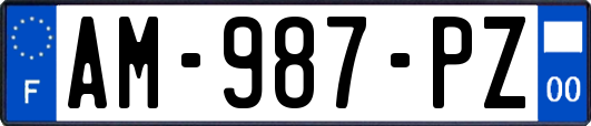 AM-987-PZ
