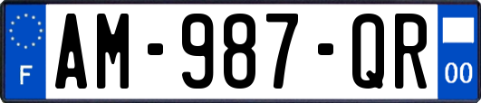 AM-987-QR
