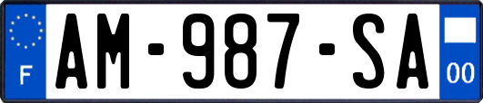 AM-987-SA