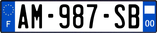 AM-987-SB