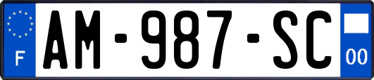 AM-987-SC