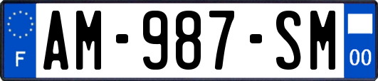AM-987-SM