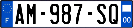 AM-987-SQ