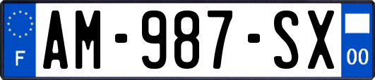 AM-987-SX