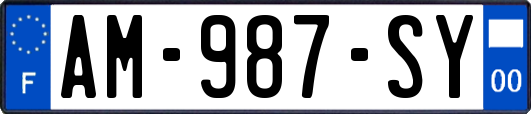 AM-987-SY