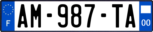 AM-987-TA