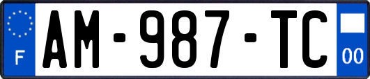 AM-987-TC