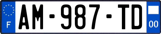 AM-987-TD