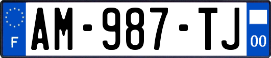 AM-987-TJ
