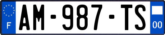 AM-987-TS