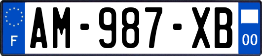 AM-987-XB