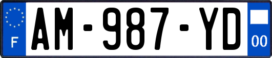 AM-987-YD