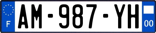 AM-987-YH