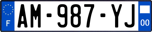 AM-987-YJ