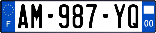AM-987-YQ