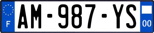 AM-987-YS
