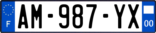 AM-987-YX