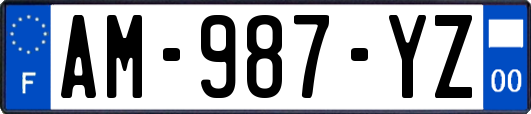 AM-987-YZ
