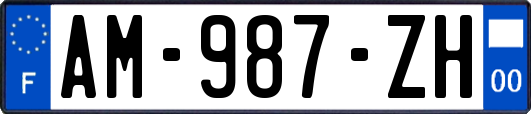 AM-987-ZH