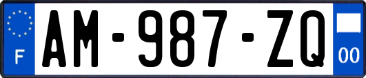 AM-987-ZQ