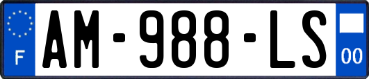 AM-988-LS