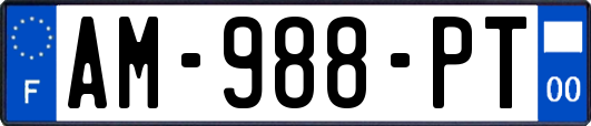 AM-988-PT
