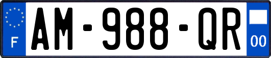 AM-988-QR