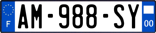 AM-988-SY