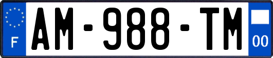 AM-988-TM