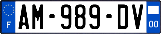 AM-989-DV