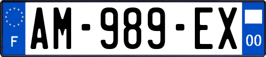 AM-989-EX