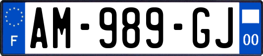 AM-989-GJ