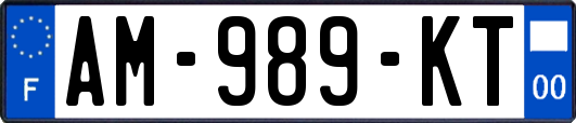 AM-989-KT