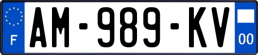 AM-989-KV