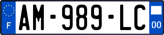AM-989-LC