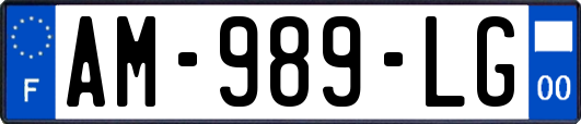 AM-989-LG