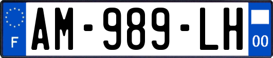 AM-989-LH