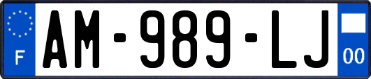 AM-989-LJ