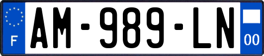 AM-989-LN
